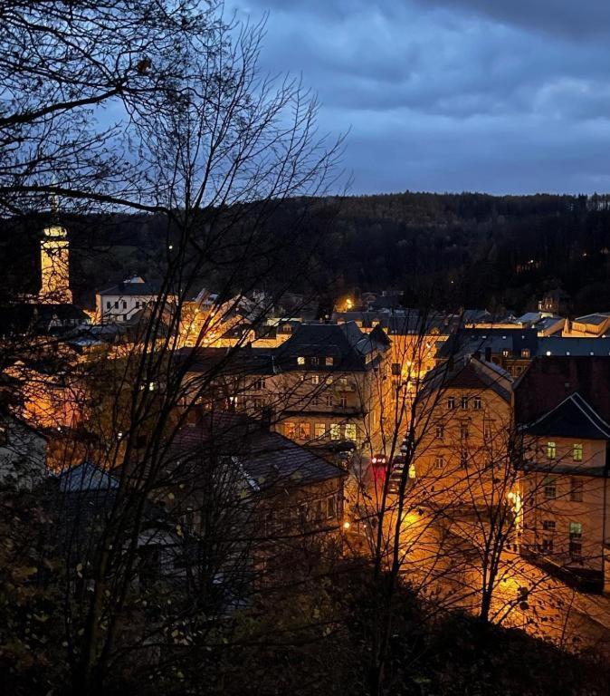 Brauhaus Suite 16 Sebnitz Bagian luar foto